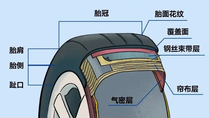 汽车轮胎的结构和种类
