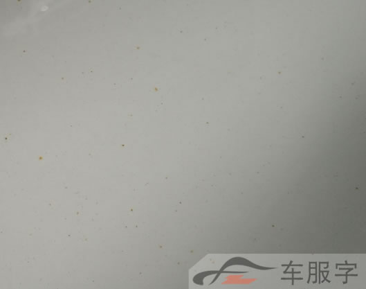 车身上经常出现密密麻麻的黄色斑点是怎么回事？