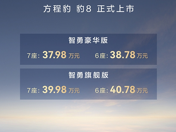 方程豹豹8预售价